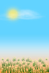 A field of green grass and yellow plants with a bright sun shining on it. The sky is blue and clear, with only one cloud. Concept of warmth and tranquility.