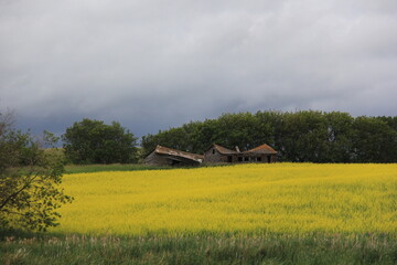 Saskatchewan Scenery Qu'Appelle Valley area