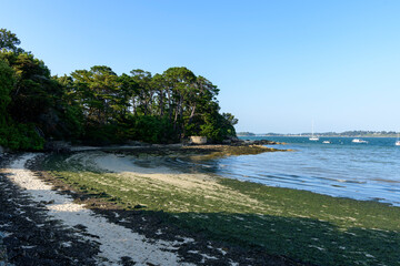 The beach on Berder Island in Larmor-Baden in Europe, France, Brittany, Morbihan, Larmor Baden, in summer, on a sunny day.