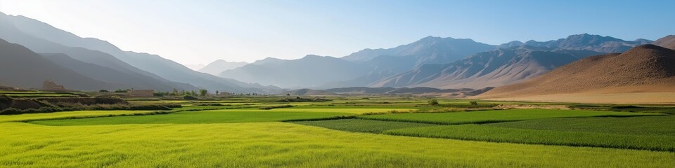 Fototapeta premium A large, open field with a mountain in the background. The sky is clear and the sun is shining brightly
