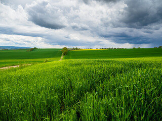 Dramatische Wolken über grünen Feldern – Naturlandschaft im Frühling