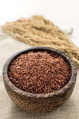 unhulled asian red rice grains in rustic setting display in Cambodia