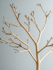Fototapeta premium Bare tree branches against a light background.