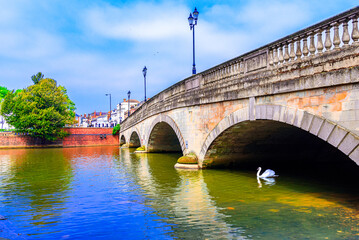 Bedford. UK: Beautiful view of River Great Ouse at Town Bridge and a swan passing under the bridge in a sunny day