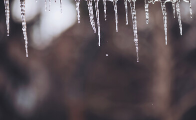 Glistening icicles dangle from a rooftop, creating a stunning display of nature's artistry. Winter sunlight casts a magical glow, enhancing the icy formations