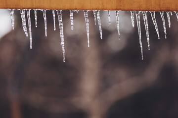 Delicate icicles dangle elegantly from a rustic wooden ledge, capturing the soft light of twilight as winter creates a serene atmosphere in nature