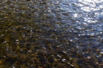 a wide but shallow river with a large current