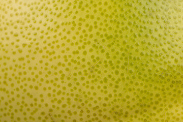 ripe pomelo with lots of pulp cut into pieces