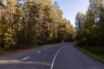 Obraz premium a narrow highway in the forest in the autumn season