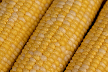 peeled corn cob with yellow and white seeds of different sizes and shades