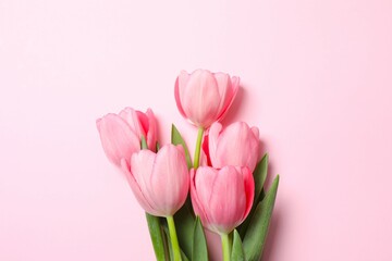 Fototapeta premium Beautiful fresh tulips on color background
