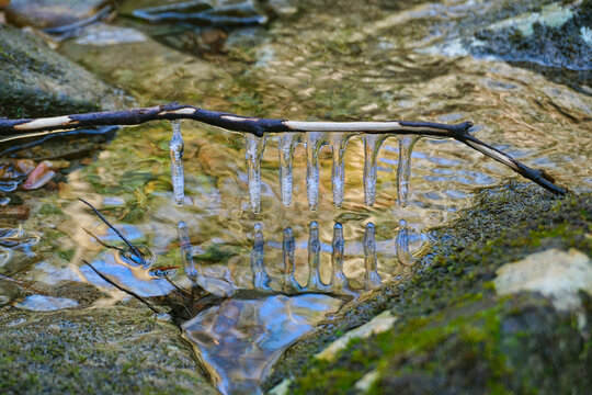 An abstract image of icicles hanging from a branch suspended over a pool of water. Surrounded by moss-covered rocks, the crystal-like ice casts a beautiful reflection in the water. - Powered by Adobe