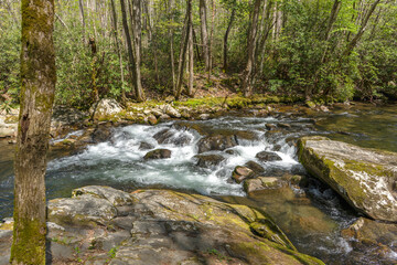 The Little River in the Great Smoky Mountains National Park cascades over the rocks. The Little River is an Outstanding National Resource Waters. View from The Little River Trail.