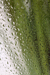 Soft focus  green leaf grass through glass with wet water drops. Abstract nature blur background.