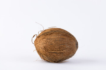A Unique Perspective on a Raw Coconut: Exploring Nature's Natural Creations and Organic Textures with a Rustic, Earthy Vibe Captivating Attention in Its Simple Elegance