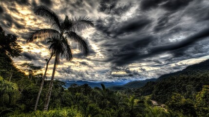 Breathtaking Rainforest Landscape with Majestic Palm Trees and Dramatic Clouds