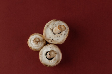 Elegant Arrangement of Three Mushrooms on a Rich Burgundy Background Capturing the Natural Beauty and Textures in the World of Culinary Ingredients and Their Uses