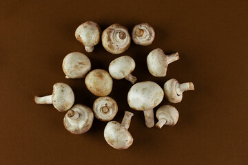 An Aesthetic Arrangement of Fresh, White Mushrooms on a Brown Background - A Minimalist Take on Nature's Ingredients for Culinary Delights