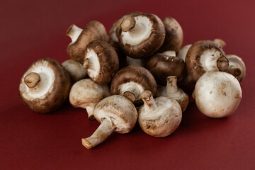 An Artistic Display of Fresh Mushrooms on a Red Background Perfect for Culinary Inspiration and Food Photography, Showcasing Varieties and Their Unique Textures and Colors