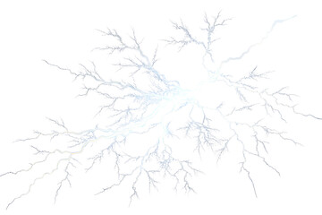 Obraz premium snow covered branches