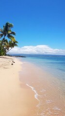 Fototapeta premium Tropical Paradise Beach Scene: Serene Coastal Beauty