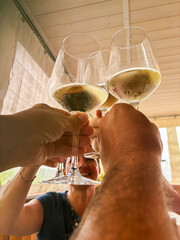 A group of friends sharing a celebratory toast with chilled white wine glasses, expressing unity,...
