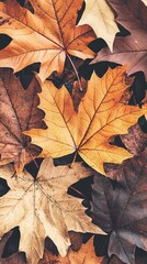 Autumn leaves background, fall foliage, nature's beauty, perfect for wallpaper or social media