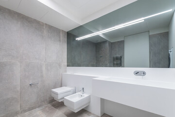 Bathroom with an elegant interior design. Panoramic mirror over a white cabinet with a sink. Stylish accessories.