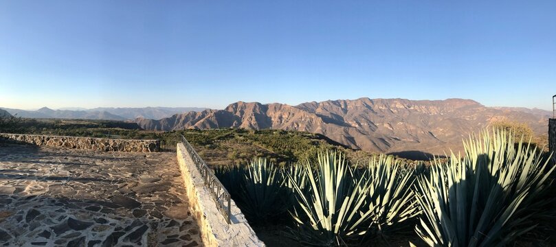 When in tequila, Mexico 