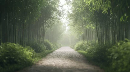  Misty bamboo forest path, tranquil scenery, nature's beauty, serene atmosphere, ideal for wallpaper or background © musa