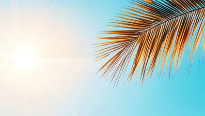 Tropical palm leaf against a bright blue sky with sunshine on a summer day