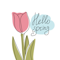  Hello spring poster. Spring card with tulip	