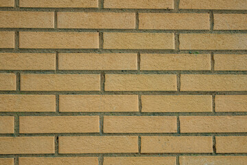 This solid surface features neatly arranged bricks in warm beige tones, creating a textured...