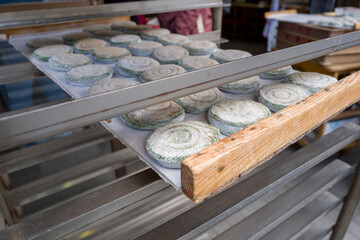 Mochis in Koya San in Asia, Japan, Kansai, Koya, in summer, on a sunny day. © Florent