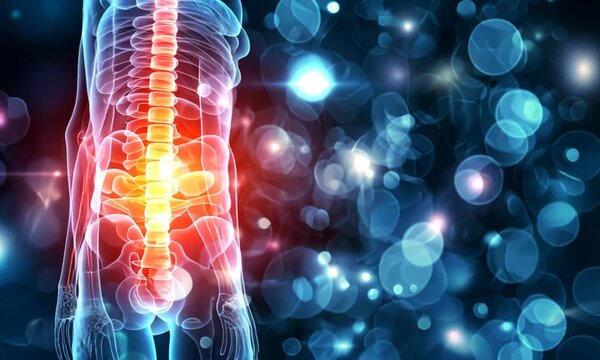 Human Spine Anatomy with Pain, Medical Illustration