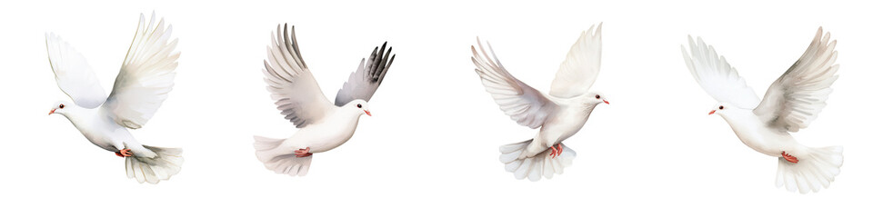 Obraz premium White dove in flight, showcasing grace and beauty in motion, isolated on transparent background.