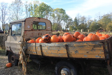 Pumpkin farm © Wiktoria