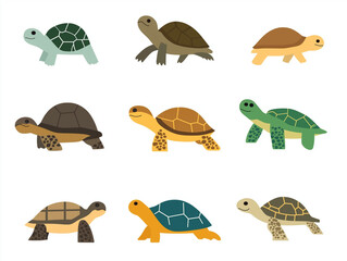 Icônes de tortues sur fond blanc, flat design