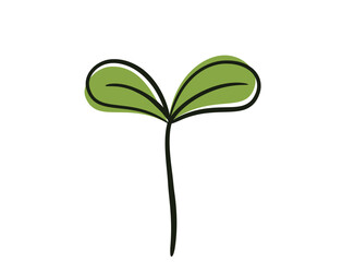 Seedling sprout with two leaves. Planting and spring design element. Isolated vector image