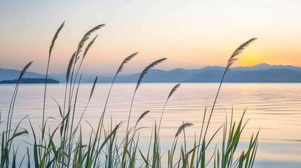 Serene Lakeside Sunset: Grass Silhouettes Against Tranquil Waters and Distant Mountains