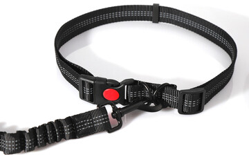 Hand free leash, belt for walk with dog, pet accessories