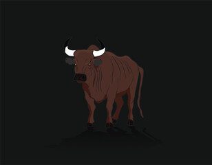 Angry bull standing on dark background reflecting its shadow