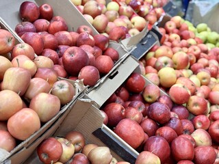 Box filled with fresh juicy natural bio organic red yellow apples placed on counter in local food market