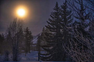 Full moon thru the fog; Grand Teton NP; Wyoming