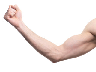 Man arm with hand in a fist