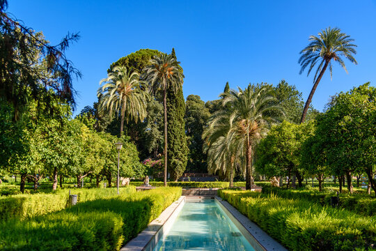Seville, Spain - August 01, 2024: Parque de Mar&iacute;a Luisa in Sevilla, Spain
