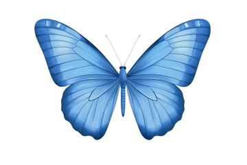 vibrant blue butterfly with detailed wings, showcasing its beauty and grace. This illustration captures essence of nature artistry and elegance