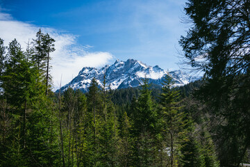 A magnificent sight of Mount Pilatus with its icy summit rising above a lush green pine forest. The...