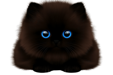 cute, fluffy black cat with bright blue eyes, sitting calmly. This adorable feline exudes charm and warmth, making it delightful companion for any cat lover