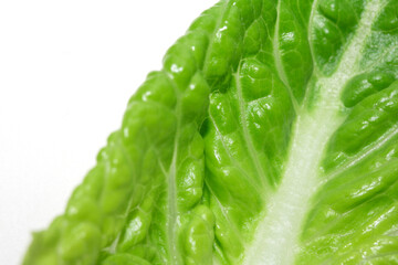 Close Up of Lettuce Leaf or Leaves on a White Background